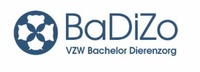 badizo logo